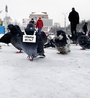 №77, Юрій Бобровнік, 42 года, Переяслав-Хмельницкий №77, Юрій Бобровнік, 42 года, Переяслав-Хмельницкий