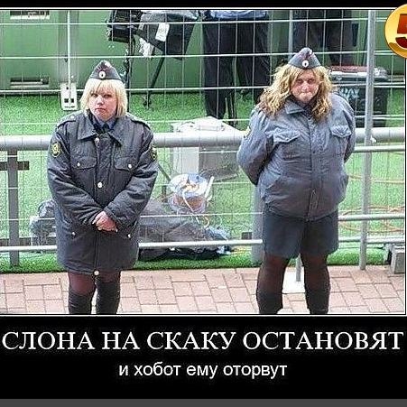 №77, Ольга Никиша, Городня №77, Ольга Никиша, Городня