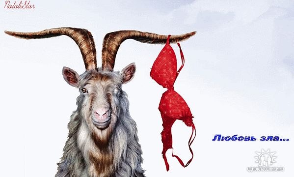 №119, Лідія Мусієнко, 36 лет, Черкассы №119, Лідія Мусієнко, 36 лет, Черкассы