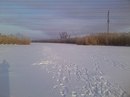 №20 Риваль Абдуллаев