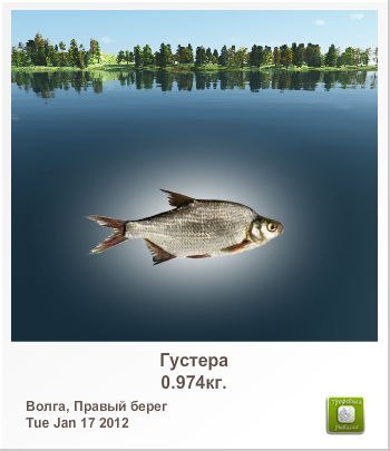 Владимир Софронов | Саранск