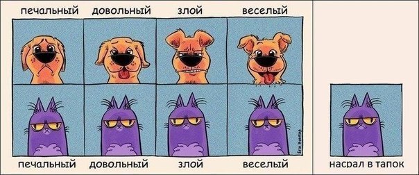 №62, Наталья Лукьянова, 35 лет, Нижний Новгород №62, Наталья Лукьянова, 35 лет, Нижний Новгород