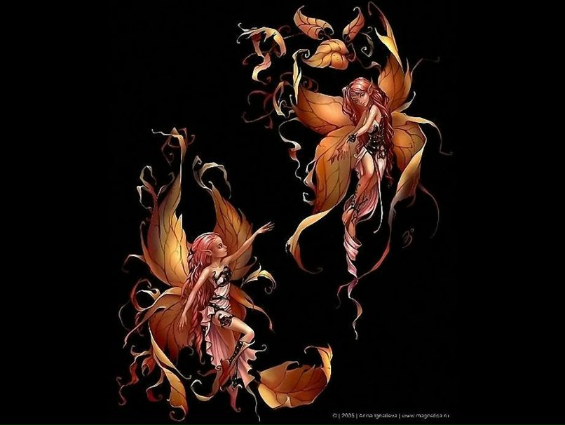 Евгения Хашимова | Светлый