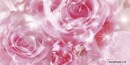 №27 Полина Фадеева