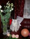№35 Лилия Мироненко 05.12.1971: профиль, фото, статус - ВКонтакте