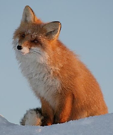 Ирина Лялина | Екатеринбург