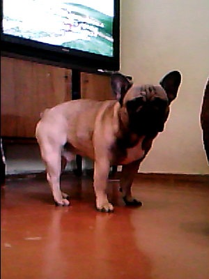 №3, Лев Никитин, 25 лет, Пермь №3, Лев Никитин, 25 лет, Пермь