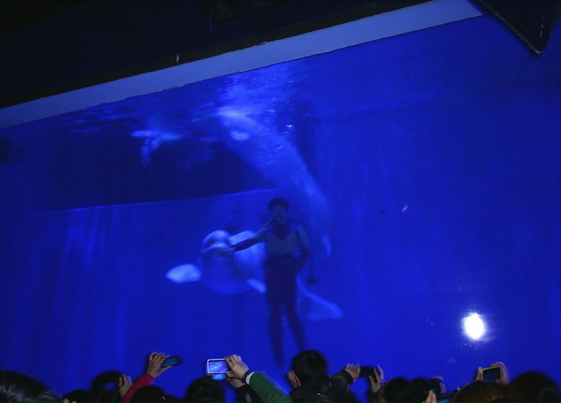 Сергей Пономарев ˙·٠✈ | Новосибирск