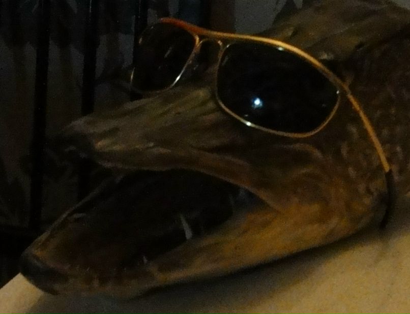 Игорь Ромах | Санкт-Петербург