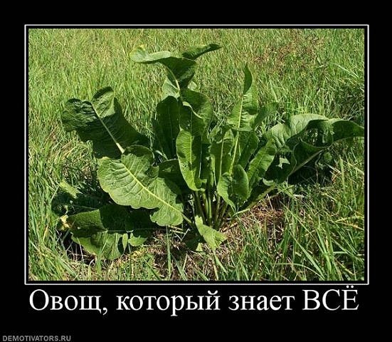 №14, Танюша Гиматдинова №14, Танюша Гиматдинова