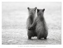 №24 Ирина Мозалева : профиль, фото, статус - ВКонтакте