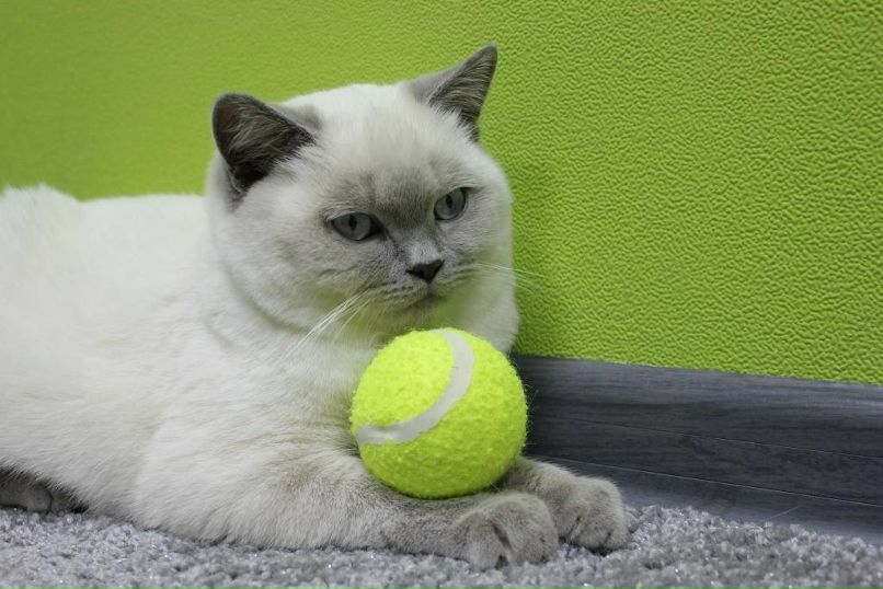 Яна Калюжная | Харьков