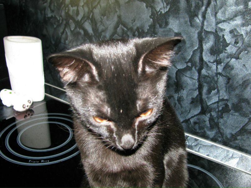 Svet Lana | Костомукша