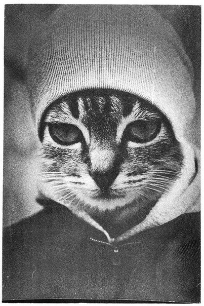 Никита Шкаленко 666 | 