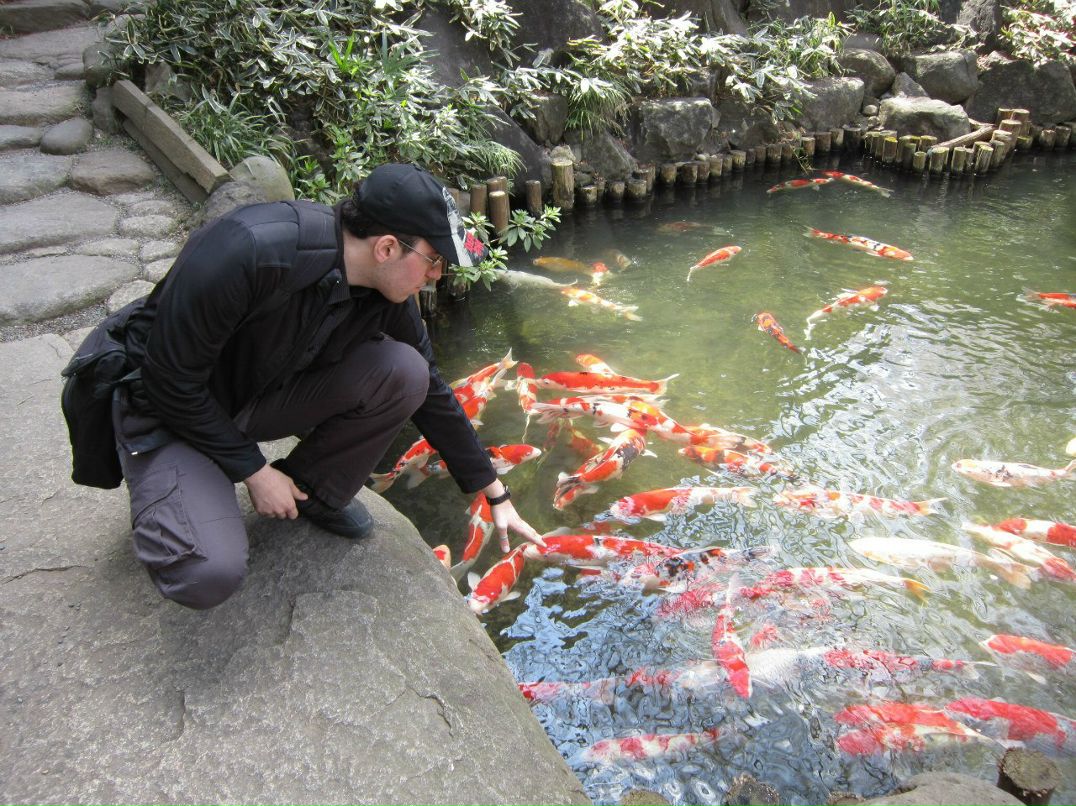 Анастасия Джафарова | Москва