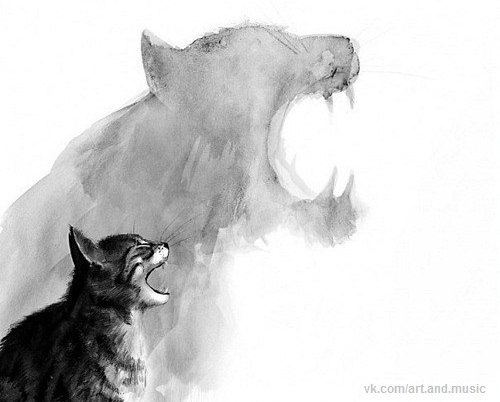 Юлия Забудько | 