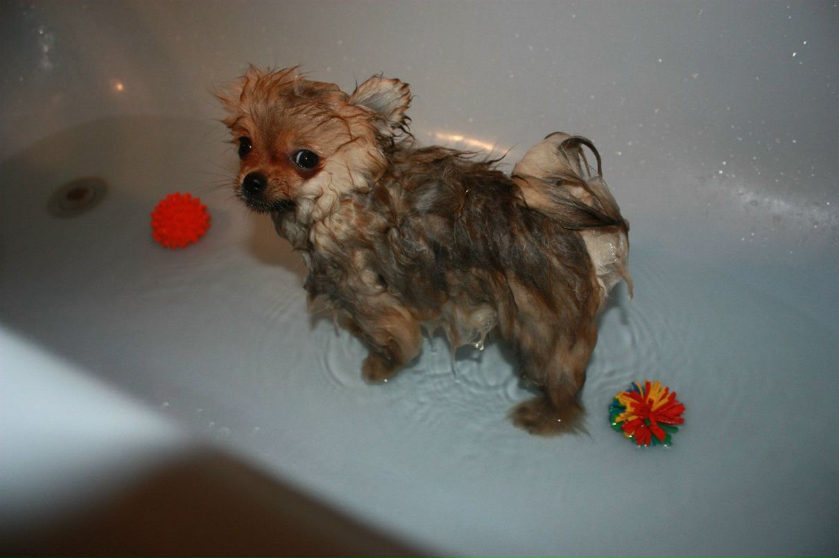 Алёна Сивкова | Москва