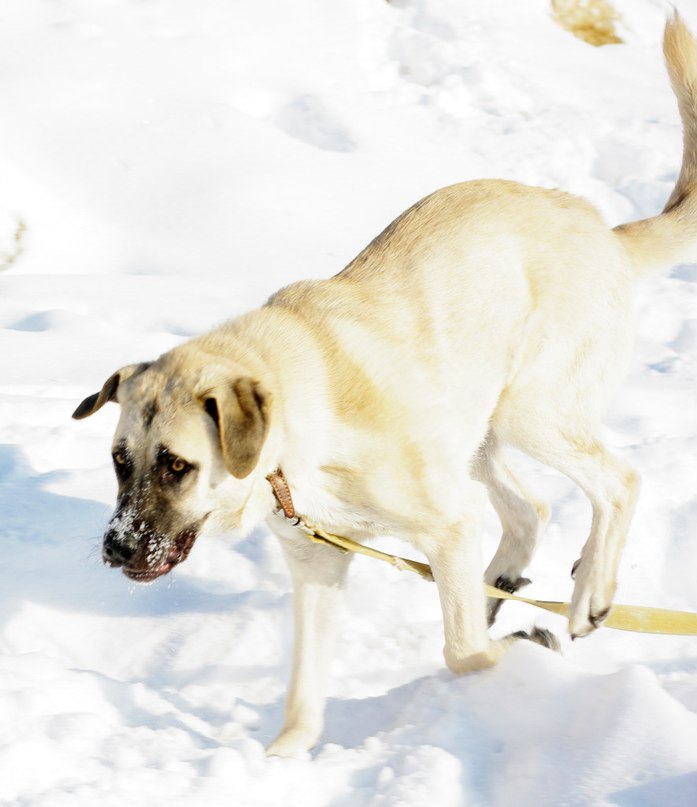 Дмитрий Андреев | Череповец
