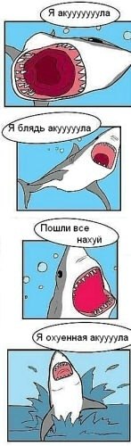 Никита Дьяченко | 