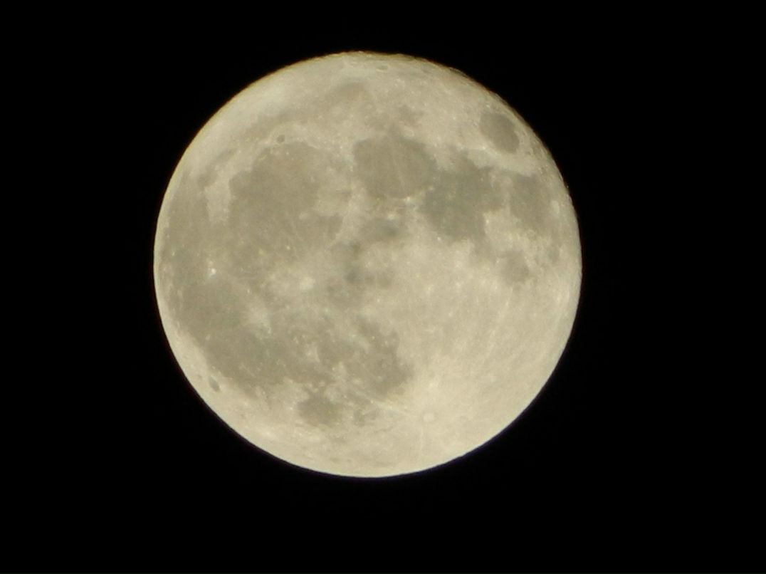 Евгения Заболотная | Одесса