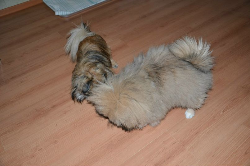 Николай Никонов _Юрич_ | Тюмень