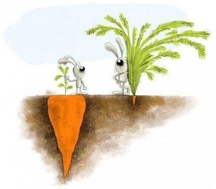 Роман Дейнека | Полтава