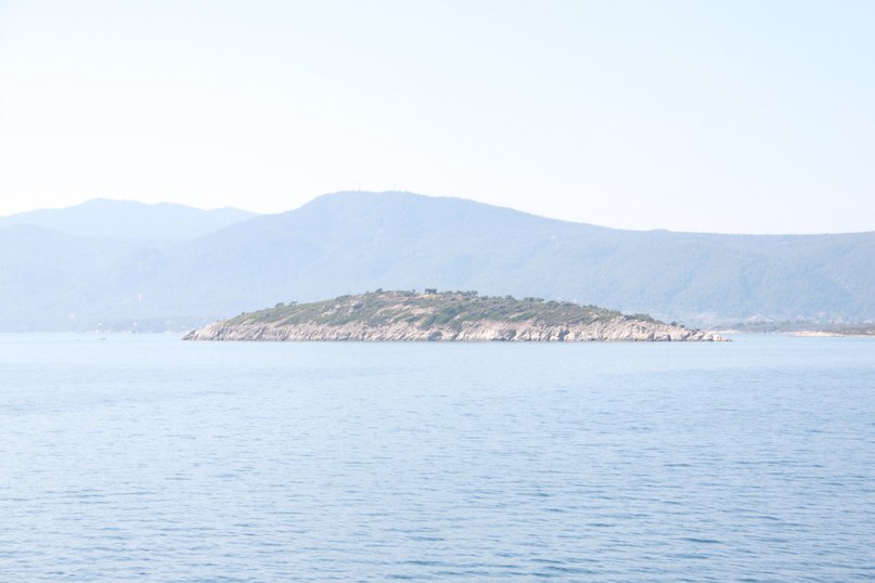 Роман Губарев | Москва