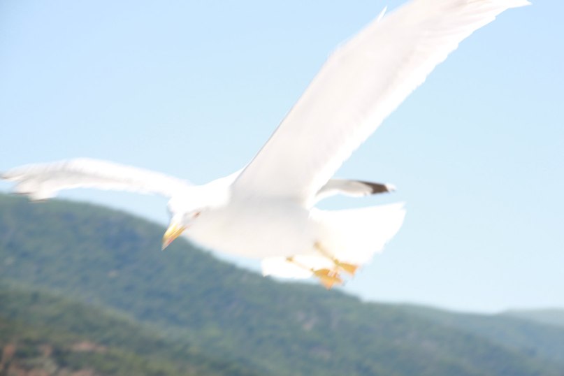 Роман Губарев | Москва