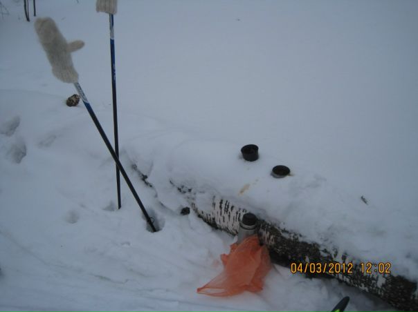 №107, Марина Дмитриева, Череповец №107, Марина Дмитриева, Череповец