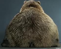 Константин Астафьев | Симферополь