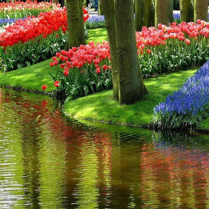 Юлия Хисаметдинова | Ханты-Мансийск