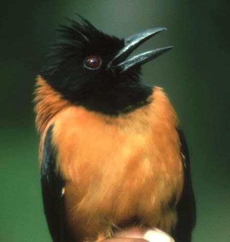 Александр Двулищенко kefir_Danon | Екатеринбург