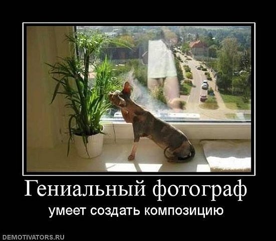 №91, Сергей Царьков, Джанкой №91, Сергей Царьков, Джанкой