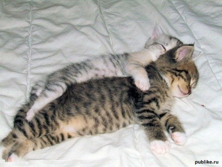 Наталия Щепина *V_i_V_a* | 