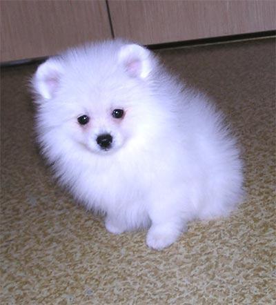 Гульнара Шулаева | Казань