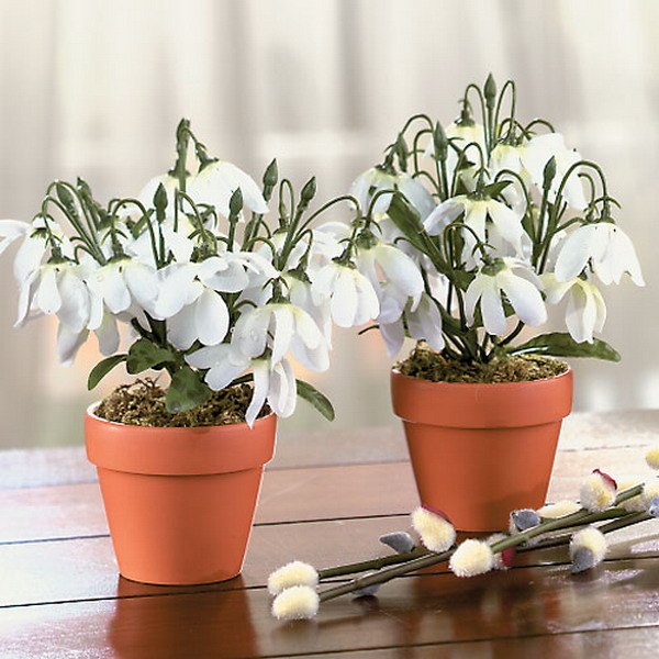 Ира Кислашко | Reggio di Calabria