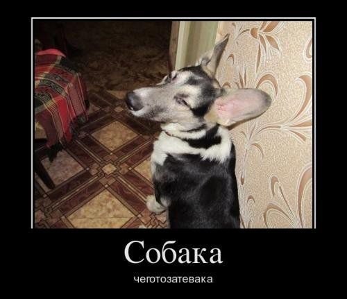 Андрей Лефутуренко | Киев