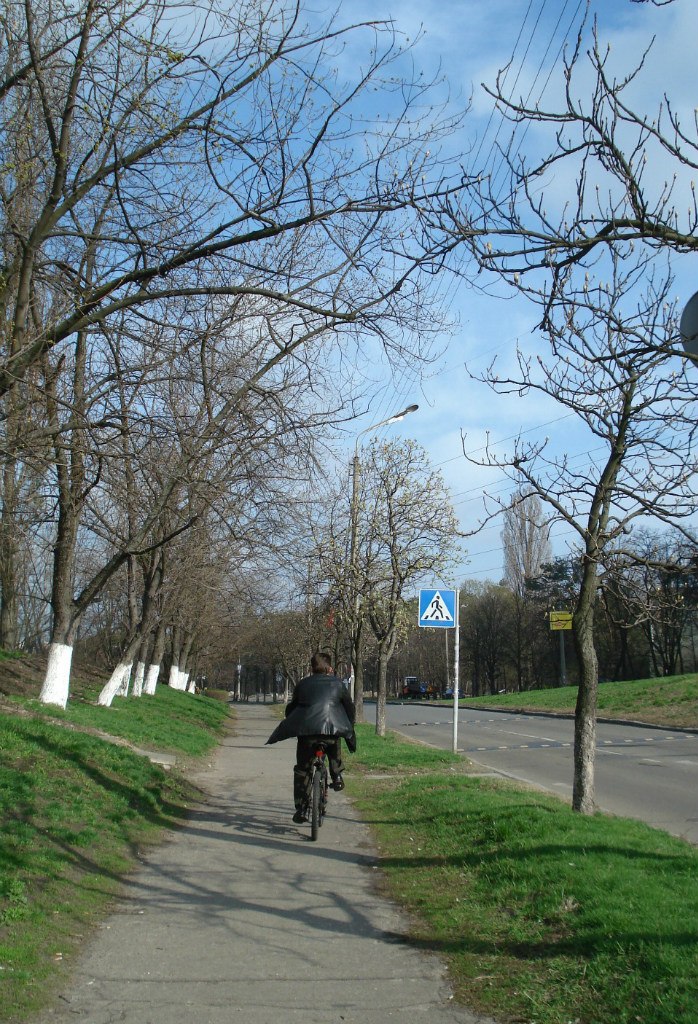 Ирина Мещишена | Киев