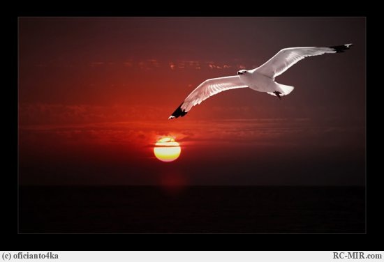 №3, Лариса Куксина №3, Лариса Куксина