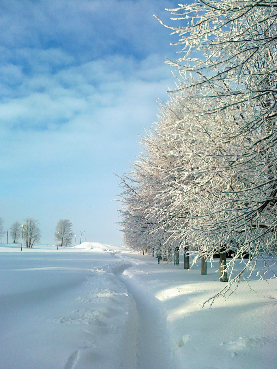 Глеб Иванов | Санкт-Петербург