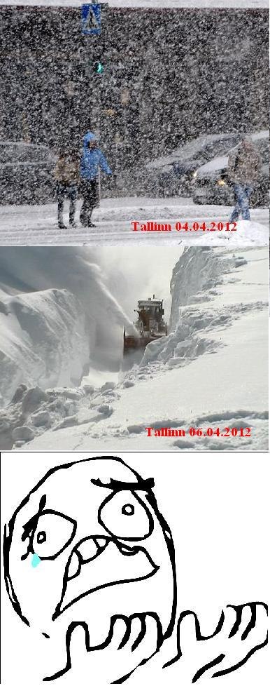 Юрий Кушнер | Таллин