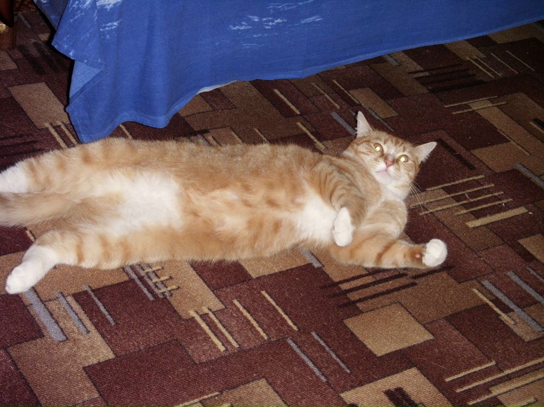 Ирина Панишева | Петрозаводск