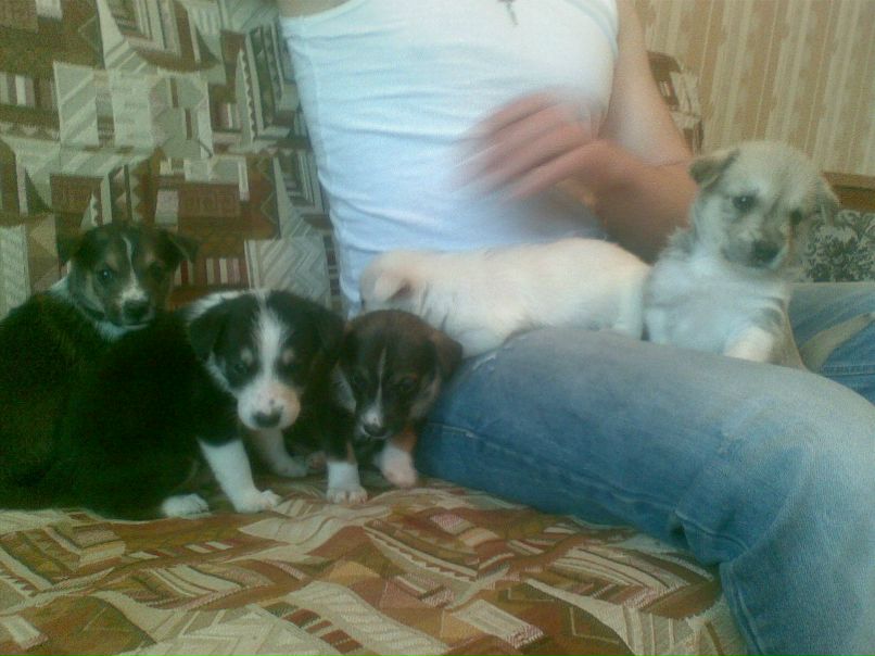 Василий Рожков | Кубинка