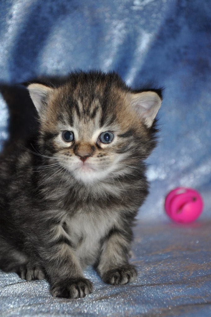 Наталья Малахова | Санкт-Петербург