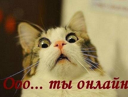 Денис Фёдоров Сергеевич | Стерлитамак