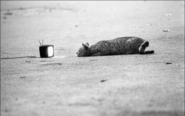 №40, Оксана Будыка, 37 лет, Киев №40, Оксана Будыка, 37 лет, Киев