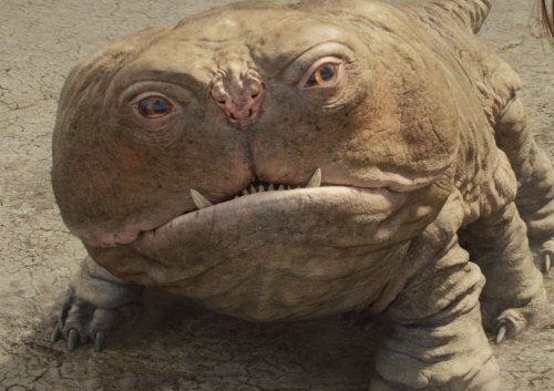 Маргарита Кашина 