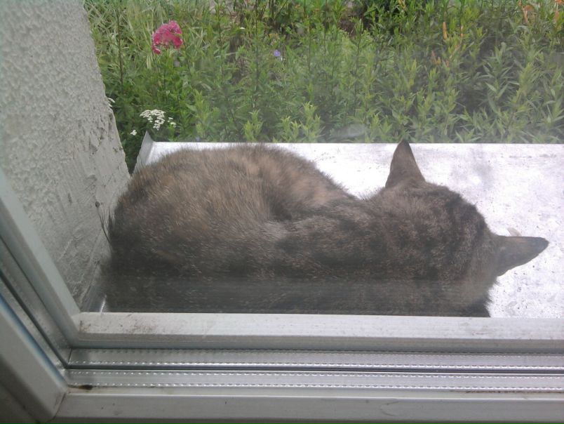 №140, Оля Маслова, Минск №140, Оля Маслова, Минск