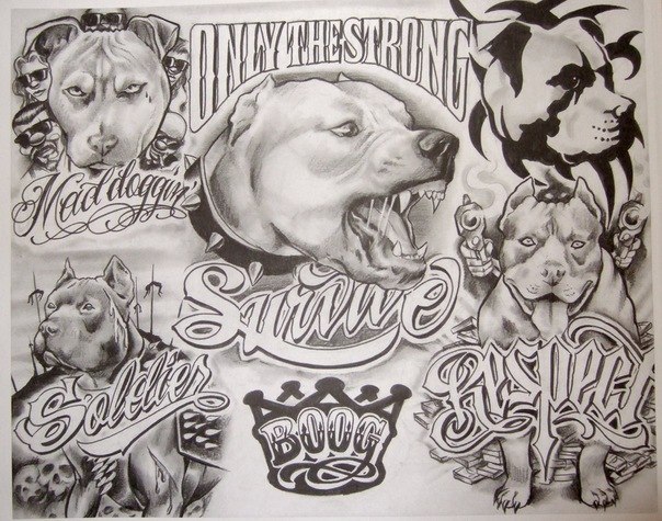 Тарас Кіба | Дрогобыч