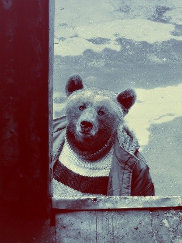 Артем Ширыхалов -=MADgaHEAD=- | Красноярск